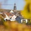 „Ich werde mit ihm da hinfahren“: Merz will mit Trump Winzerort in der Pfalz besuchen