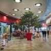 En ville, où se réfugier face aux canicules extrèmes