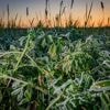 Wetter: Frostige Nächte und kühles Wetter
