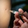 Infektionskrankheiten: Anstieg der Mpox-Infektionen in Berlin