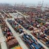 Trump's tariffs seen cutting into China sales of US companies, survey finds