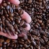 Auffälliger Preisanstieg: Darum ist Bohnenkaffee deutlich teurer als im Vorjahr