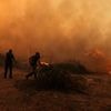 Incendies violents en Grèce : des milliers d'hectares brûlés, cinq pompiers blessés et des soutiens européens en route