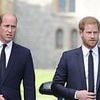 Prince Harry and King Charles' aides' 'reconciliation talks would never have happened without William's support and understanding', royal experts claim
