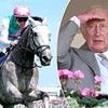 King Charles III's hopes for Reaching High may have been dashed, writes DOMINIC KING - but the first day of Royal Ascot belonged to full-throttle Field of Gold