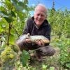 « Ça a fait un gros splash ! » : pourquoi un gros poisson est tombé du ciel sur des vendangeurs