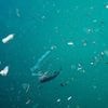 Nieuw rapport daags voor VN-top: plasticvervuiling vormt “ernstige en toenemende” bedreiging voor de gezondheid