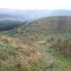 Police shut down illegal rave in forestry
