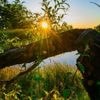 Wetteraussichten: Wetterdienst erwartet herbstliches Wochenende