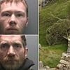 Sycamore Gap Trial: Lawyer compares felling of famous tree to 'murder' and hopes punishing of vandals will 'set a new tone' for cases involving the destruction of the natural world