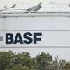 Le Fastac, un pesticide interdit en Europe, continue d'être produit en grande quantité dans l'usine du groupe chimique BASF près de Lyon
