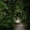 Verdachte aangehouden voor ernstig zedenmisdrijf in bos bij Zeist