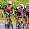 Cyclisme. L’UC Cholet à l’heure du bilan : « La saison parfaite »