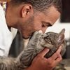 Ständig im Blick: Die überraschenden Gründe für das Verhalten Ihrer Katze