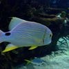 Notre connaissance des fonds marins est presque nulle