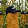 From swamps to fields: Trump's new Alligator Alcatraz is a Cornhusker Clink to detail migrants