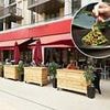 Popular restaurant chain with 70 locations faces closures as owners put business up for sale