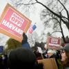 ‘Regering-Trump onderzoekt mogelijkheid om belastingvrijstelling ngo’s op te heffen’ • Trump publiceert foto van hemzelf als paus