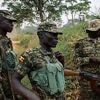 "Umstürzlerische Aktivitäten": Uganda macht deutschem Botschafter schwere Vorwürfe