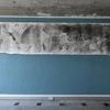 Nach der Liebe kommt die Kunst: Inkludierendes Festival „KISSsss“ im Potsdamer Rechenzentrum