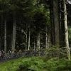 Tour de France femmes. À quelle heure et sur quelle chaîne TV suivre la 7e étape ?