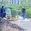 "Vandalismus oder Dummheit?": Trump feuert Arbeiter wegen "hässlichem" Riss im neuen Gartenweg