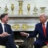Für ein "stärkeres Bündnis": Rutte kommt Trump bei Fünf-Prozent-Ziel weit entgegen