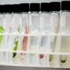 Artificial food colours are out, so what's next?