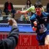 Tennis de table. Au bout du suspense, les Loups d’Angers vont en playoffs et défieront Hennebont