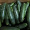 New salmonella outbreak tied to same Florida grower with tainted cucumbers last year