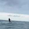 KIJK. Belgische kitesurfers steken Kanaal dubbel zo snel over dan voorzien voor goed doel