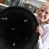 Heikedine Körting: Hör mal, wer da bellt: „Drei ???“-Regisseurin über Geräusche