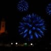 Bunte Nektarvögel, blaue Quallen und ein Feuerwerk: Die Bilder der Woche 17