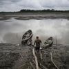 Well-preserved Amazon rainforest on Indigenous lands can protect people from diseases, study finds