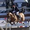 Équitation. CSO de Lamballe : Clément Fortin remet son titre en jeu