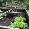 Arrosage, cultures, ensoleillement… Voici cinq conseils pour bien entretenir vos carrés potagers