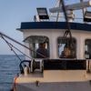 Natuurorganisaties naar rechter om jarenlange vergunning garnalenvisserij