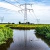 Na 2030 dreigen stroomtekorten. Maak haast met oplossingen, zegt beheerder Tennet