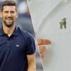 Opvallende stunt: kledingsponsor Lacoste eert Djokovic door logo van krokodil te vervangen door... een geit