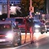 Wildtier auf Wanderschaft durch Österreich: Elch „Emil“ streift weiter umher – und legt wichtige Bahnstrecke lahm