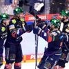 Auftakt mit Überraschungen: Fünf wichtige Erkenntnisse zum Eisbären-Saisonstart