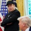 Vorläufiges Ende einer Männerfreundschaft: Warum verlässt Elon Musk das Weiße Haus?