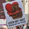Gorillas und Lemuren in Gefahr: Tiergarten-Direktor kündigt Tötungen weiterer Tiere an
