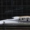 Snake halts Japanese bullet trains after wrapping around power line