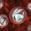 Warning signs of deadly 'crypto' parasite everyone must know - after major UK outbreak