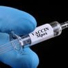 Plus de 1 100 cas de mpox recensés en Sierra Leone et neuf décès, selon les autorités