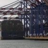 Größtes Minus für USA erwartet: IWF rechnet wegen Trumps Zollpolitik mit Nullwachstum für Deutschland