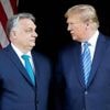 Trump belde Orban op vraag van Europese leiders na overleg in Witte Huis: “Hoorde hem uit over verzet tegen EU-toetreding Oekraïne ”