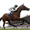 Robin Goodfellow's racing tips: Best bets for Wednesday, May 21
