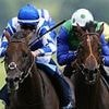 Robin Goodfellow's racing tips: Best bets for Monday, July 21